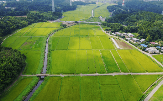 用水路・排水路やほ場整備により農業基盤を支える農業土木の現場